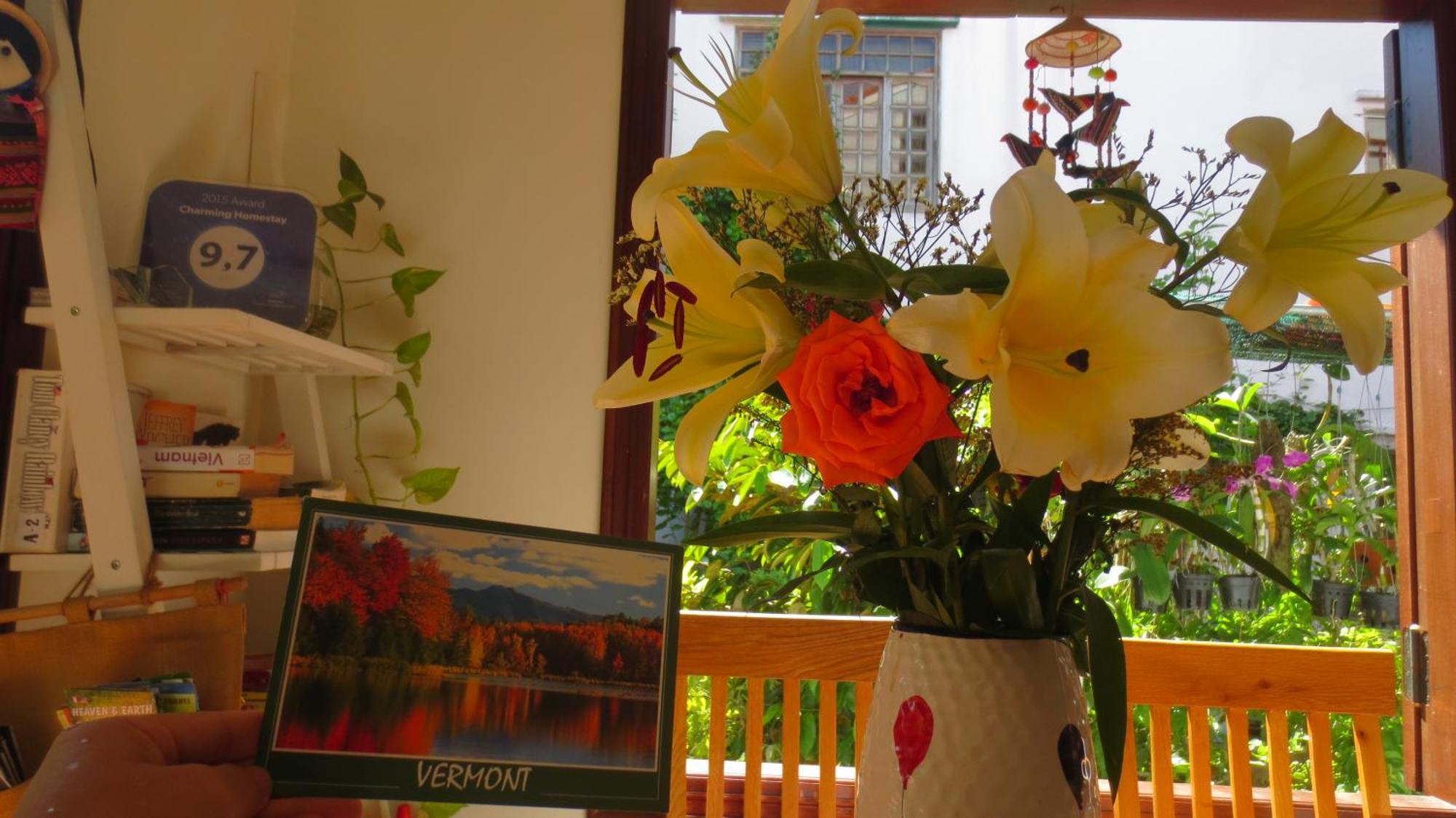 Charming Homestay Хой Ан Екстериор снимка