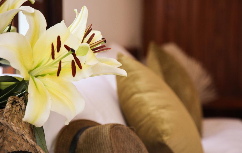 Charming Homestay Хой Ан Екстериор снимка