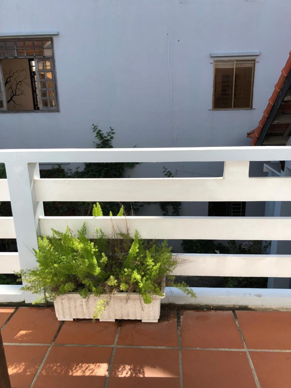 Charming Homestay Хой Ан Екстериор снимка