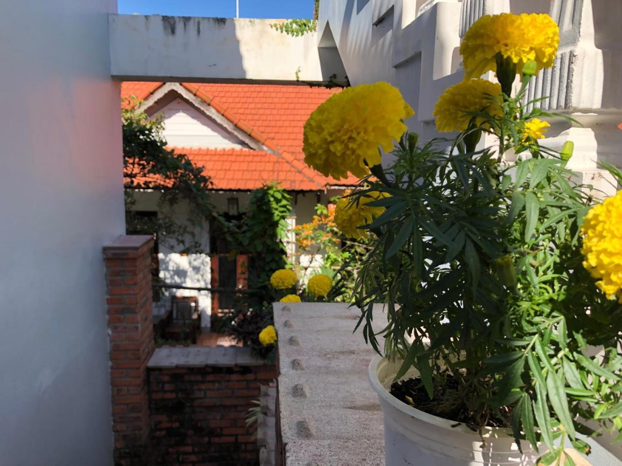 Charming Homestay Хой Ан Екстериор снимка